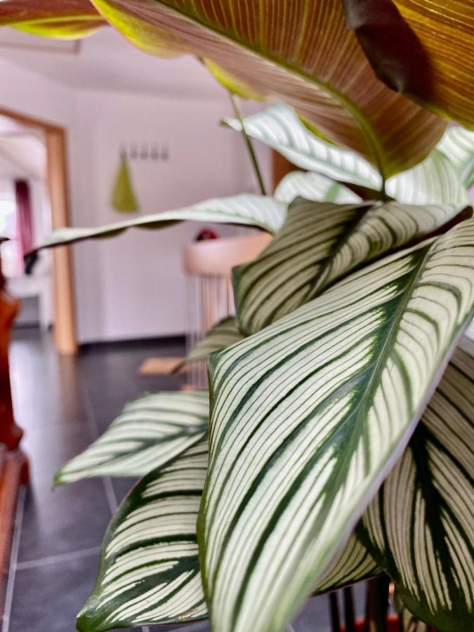 Moderne Ferienwohnung Seeblick Фройденберг Екстериор снимка